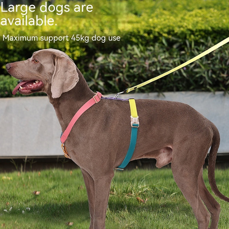 Fresh Six-color H-shaped PET's Chest-back