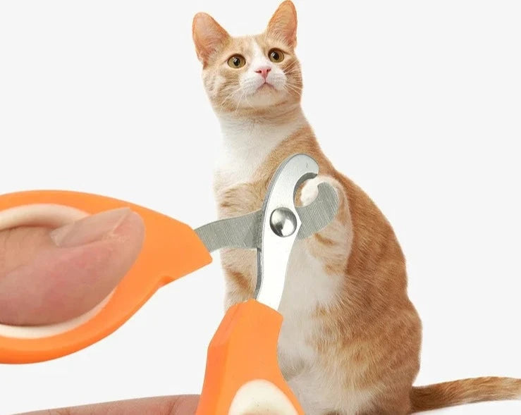 Professional Cat Nail Scissors Pet Dog Nail Clippers Toe Claw Trimmer Pet Grooming Supplies Products for Small Dogs Dog Gadgets